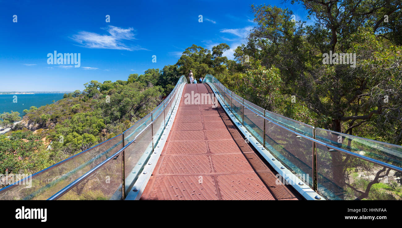 Lotterywest Föderation Gehweg gewölbte Brücke im Kings Park, Perth, Western Australia, Australia Stockfoto