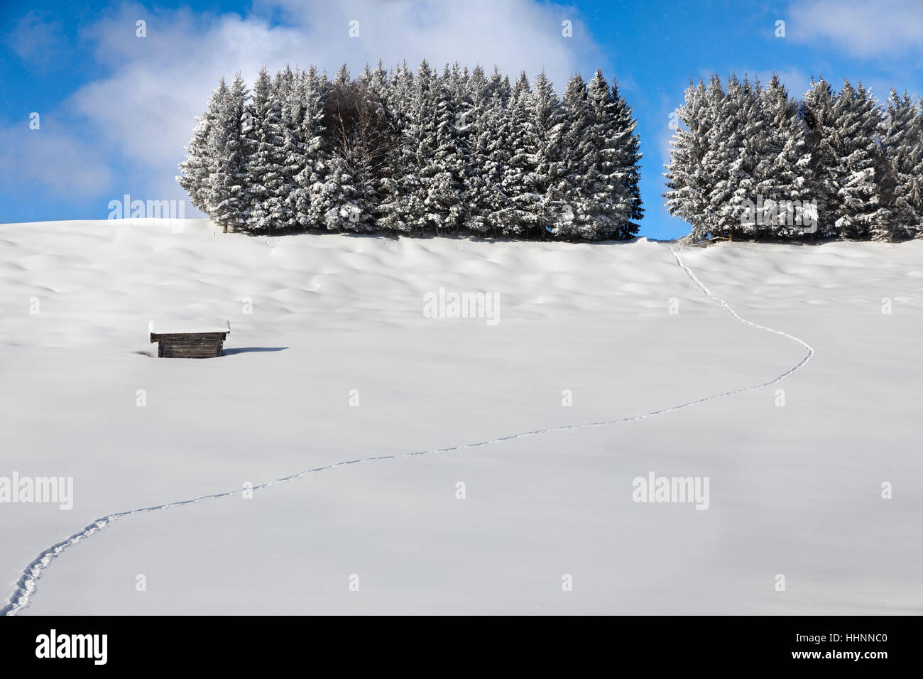 Spuren im Schnee, Deutsche Alpen Stockfoto
