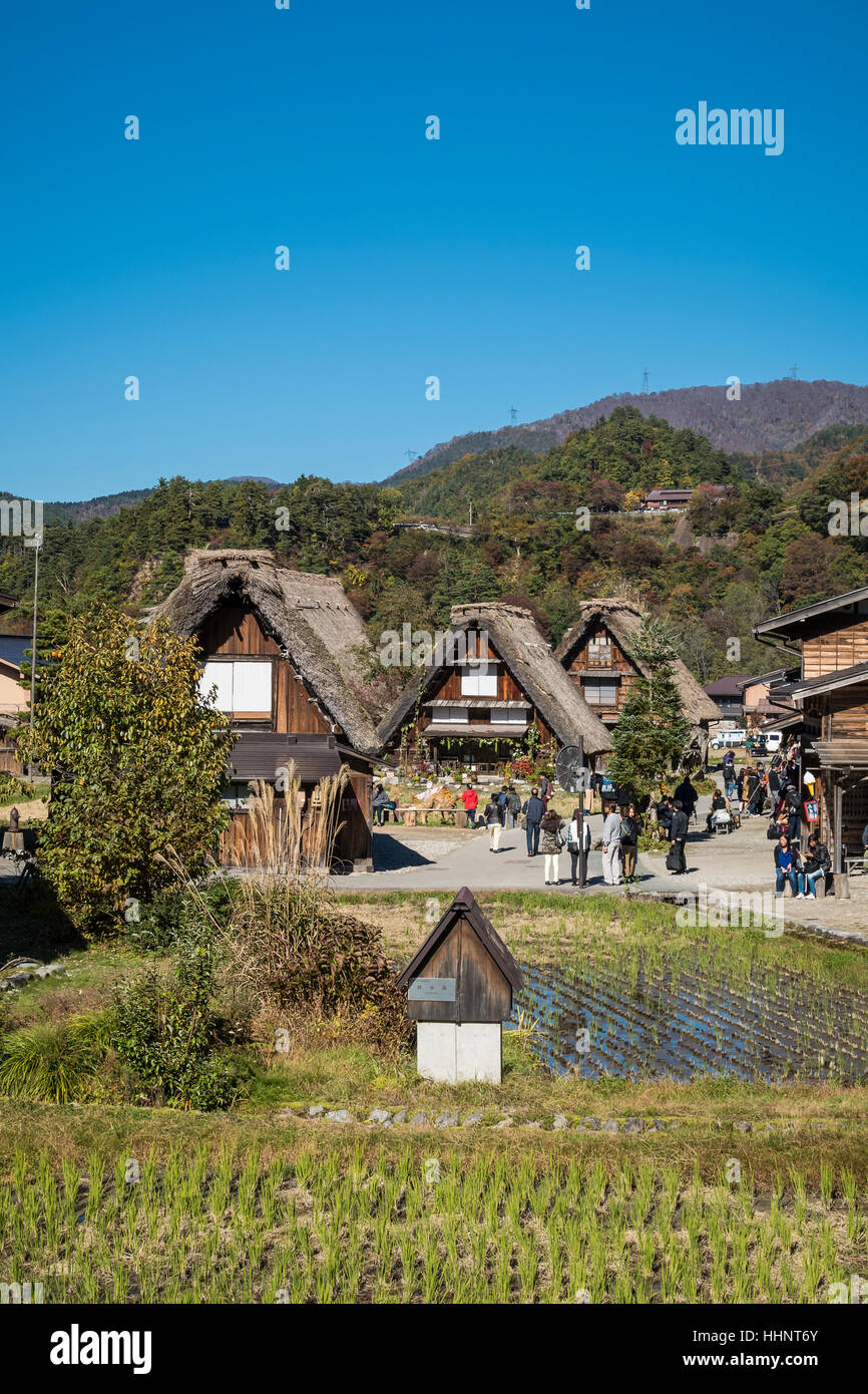 Gassho-Zukuri Häuser in Shirakawa-Go, Gifu, Japan Stockfoto
