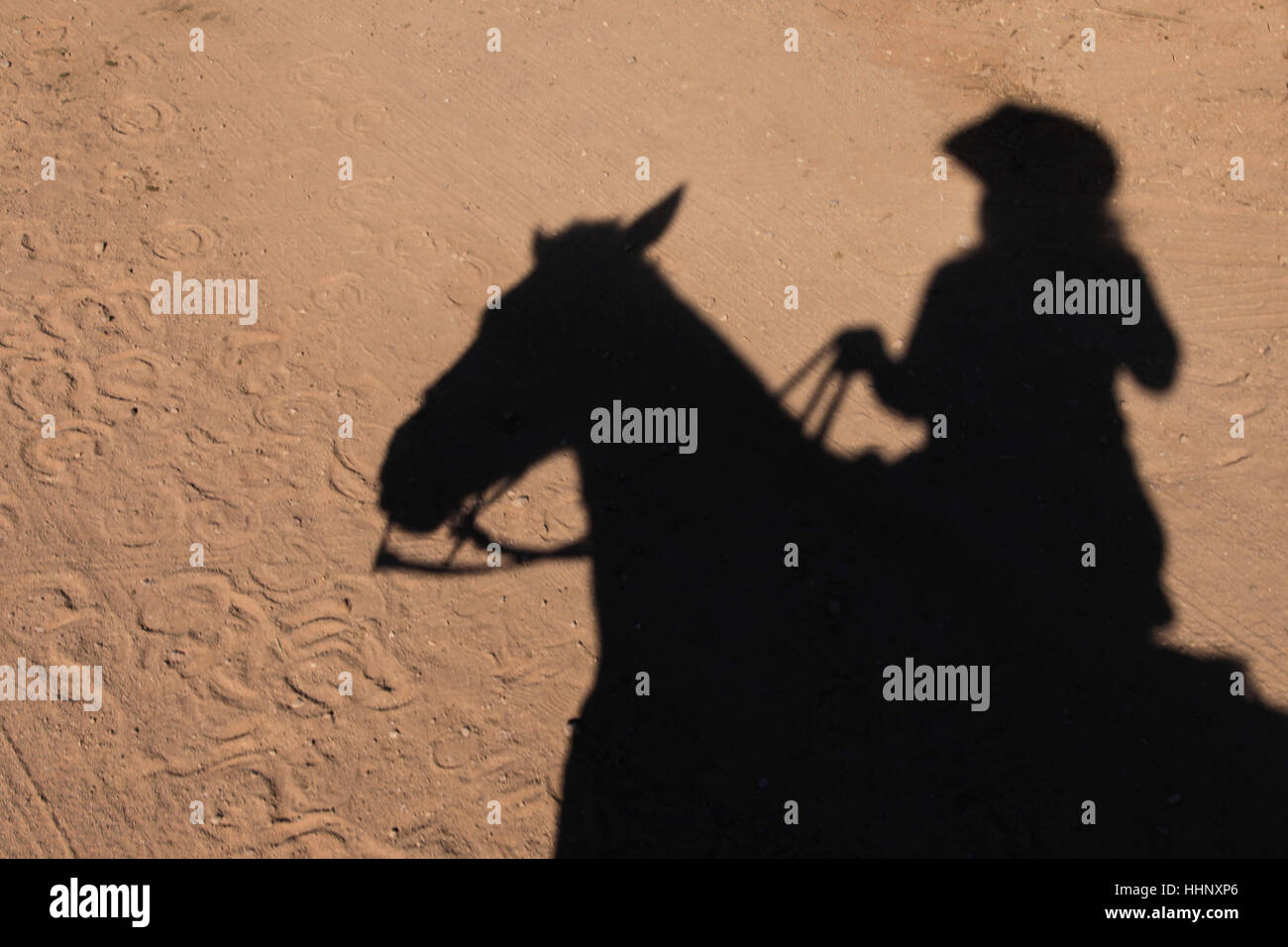 Schatten der Frau auf Pferd Stockfoto