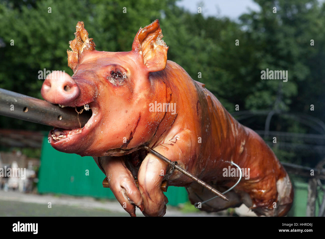 Grill, Grill, Grill, Spanferkel, Braten, Schweinefleisch