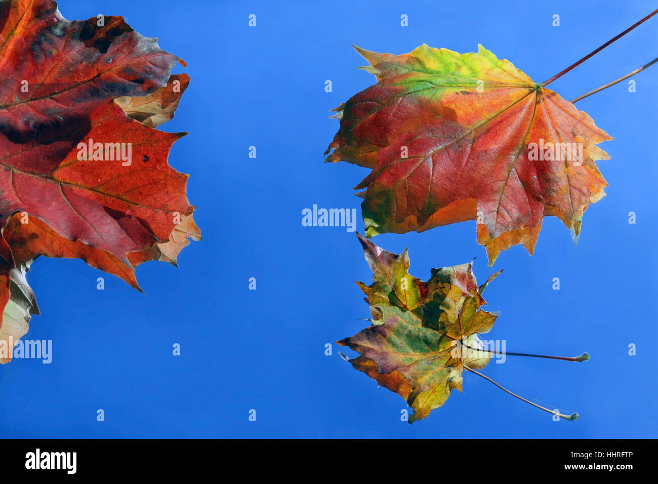 Hintergrund - den bunten Herbst Stockfoto