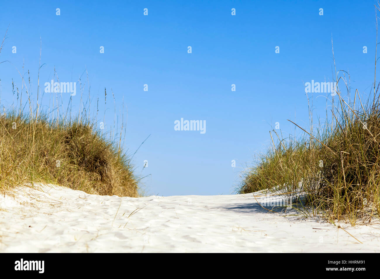 Grass gefüttert Sandweg über eine Düne zu einem Golf-Küste-Strand. Stockfoto