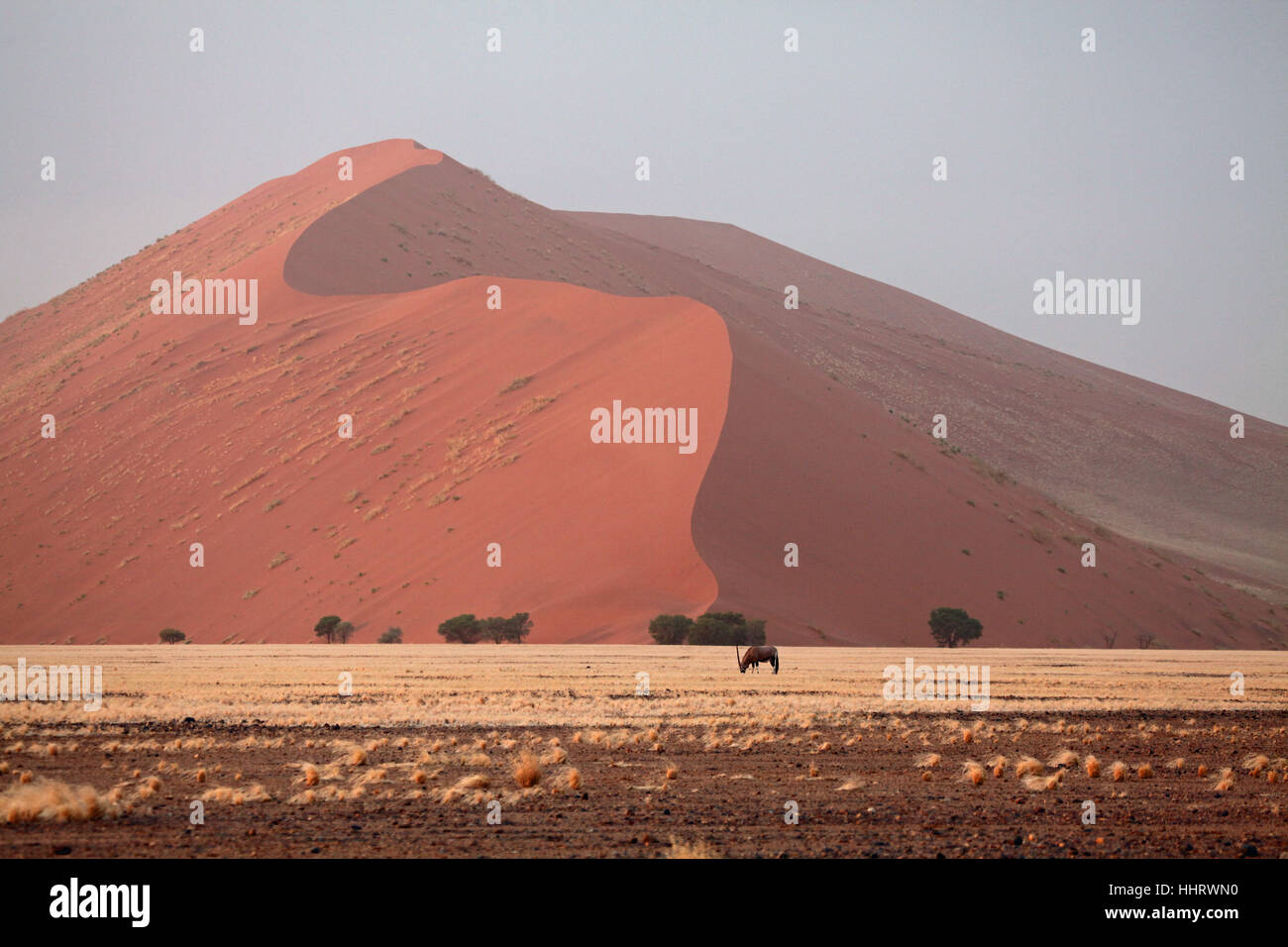Wüste, Ödland, Afrika, Namibia, Dünen, Sand, Sand, rot, Wüste, Ödland, Stockfoto