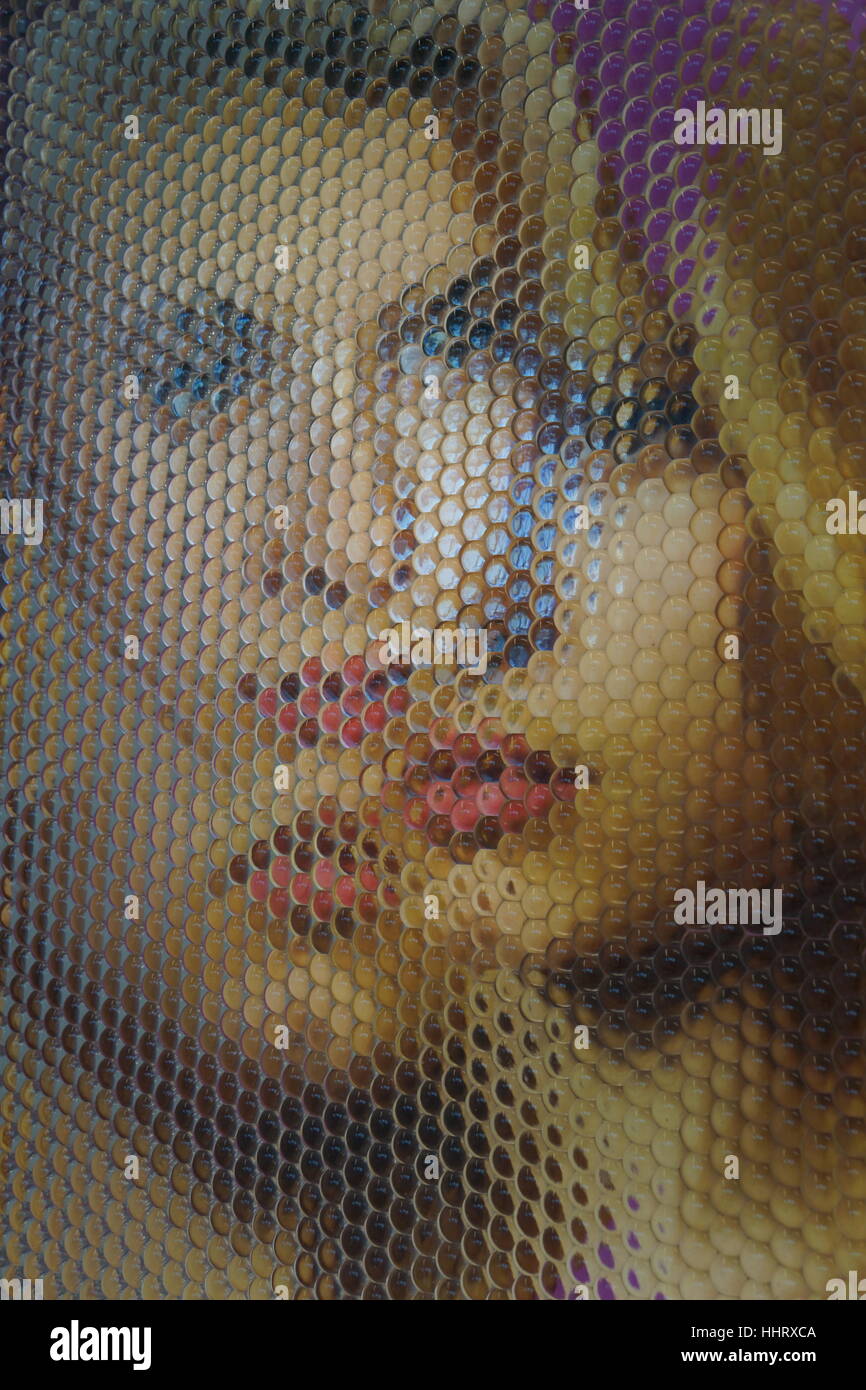 Ein Foto von "NICO", Auge Kunst eine Fliege Stück von m. Henry Jones (Zusammenarbeit mit Daniel Jay, Keith, Mark lubell reinertson), NYC, USA Stockfoto