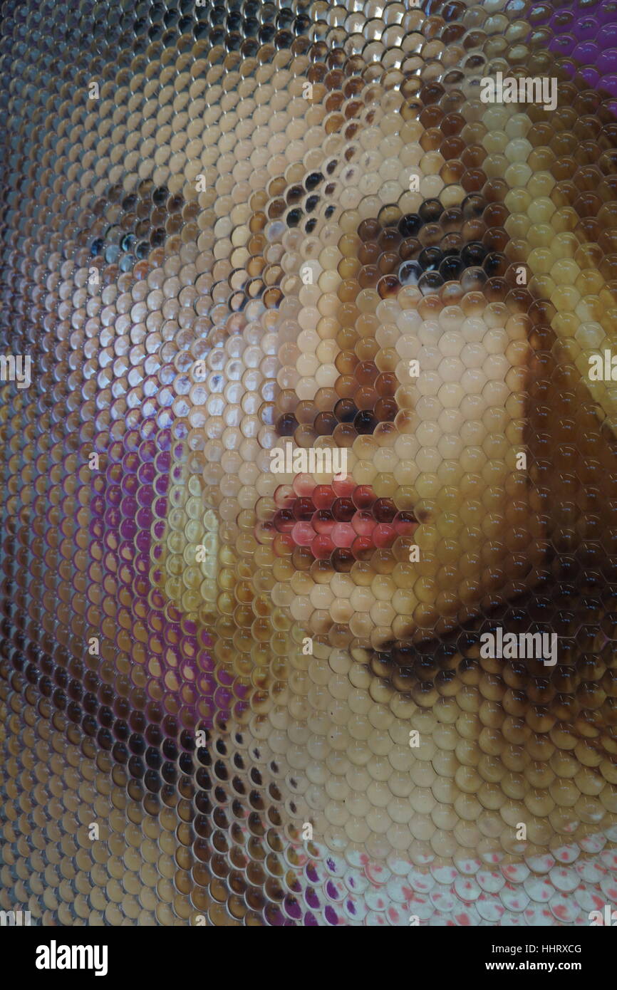 Ein Foto von "Nico" eine Fliege Auge Kunst Stück von M.Henry Jones (Zusammenarbeit mit Daniel Jay, Keith Lubell, Mark Reinertson), NYC, USA Stockfoto