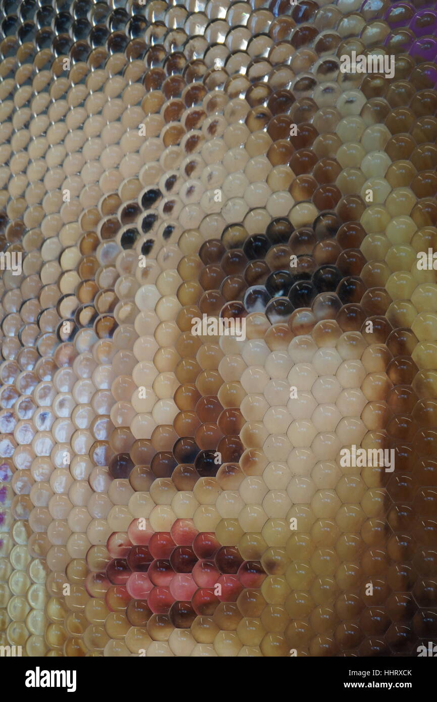 Ein Foto von "Nico" eine Fliege Auge Kunst Stück von M.Henry Jones (Zusammenarbeit mit Daniel Jay, Keith Lubell, Mark Reinertson), NYC, USA Stockfoto