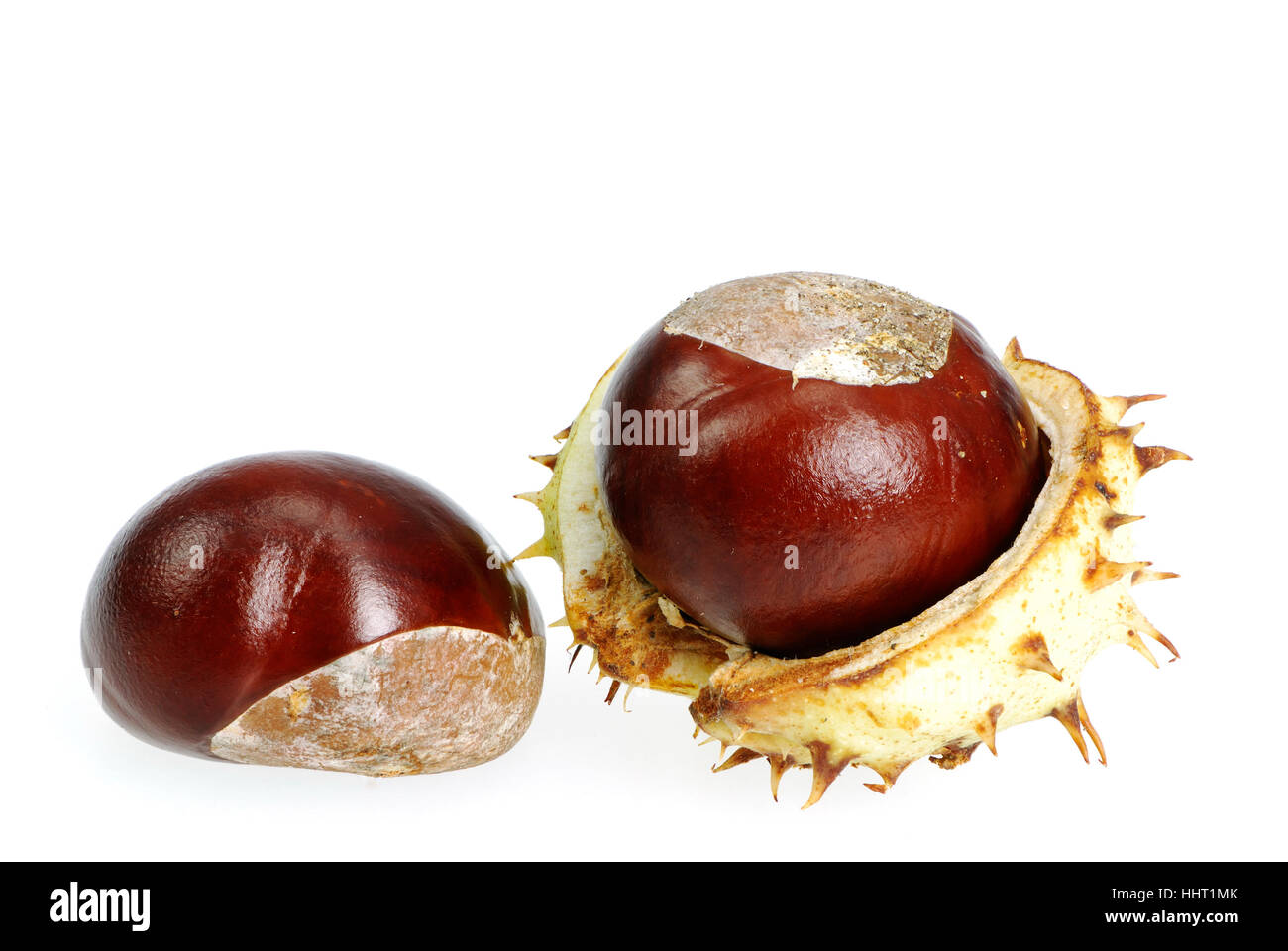 isoliert, braun, braun, brünett, Schale, Dekoration, Kastanien, Nuss, Stockfoto