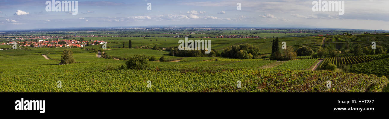 Hügel, Weinberge, Deutschland, Bundesrepublik Deutschland, Anblick, Ansicht, Outlook, Stockfoto
