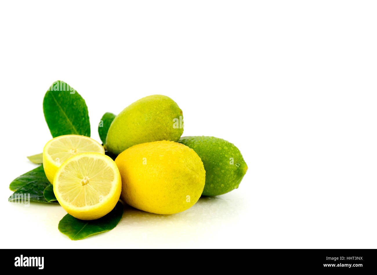 Frische Zitrone aus Bio-Plantage auf weißem Hintergrund. Stockfoto