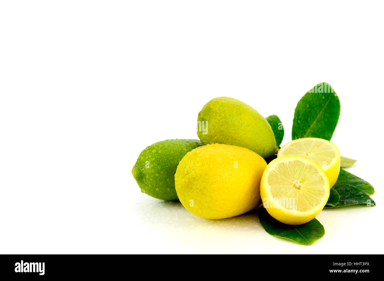 Frische Zitrone aus Bio-Plantage auf weißem Hintergrund. Stockfoto