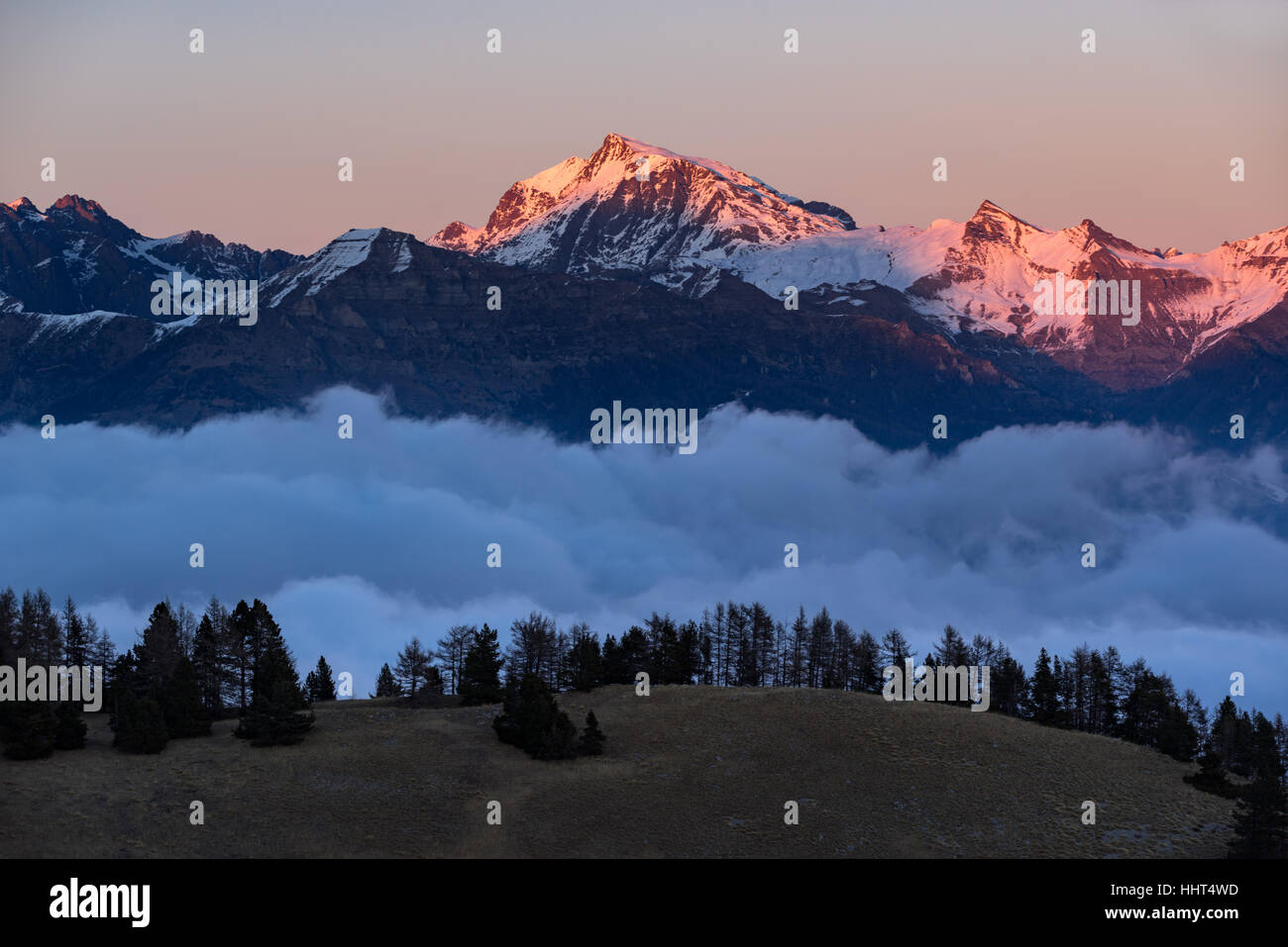 Winter Sonnenuntergang auf den Nationalpark Ecrins-Gipfeln (Chaillol, Queyrel, Tourond) über den Wolken heben. Champsaur Tal. Hautes Alpes, Südmarokko Stockfoto