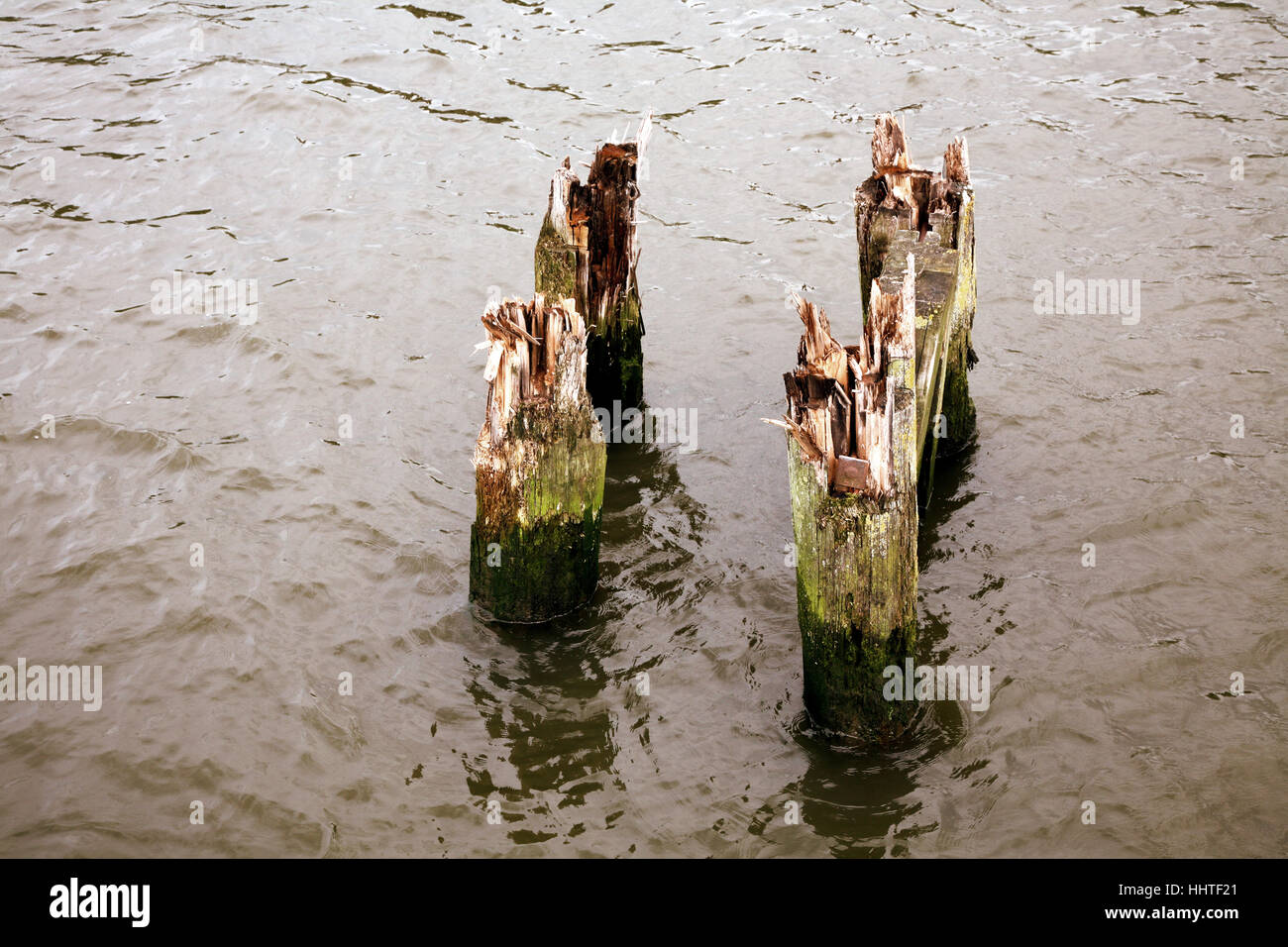 Verrottenden Baumstümpfen im Hafen in Harburg bei Hamburg/Deutschland Stockfoto