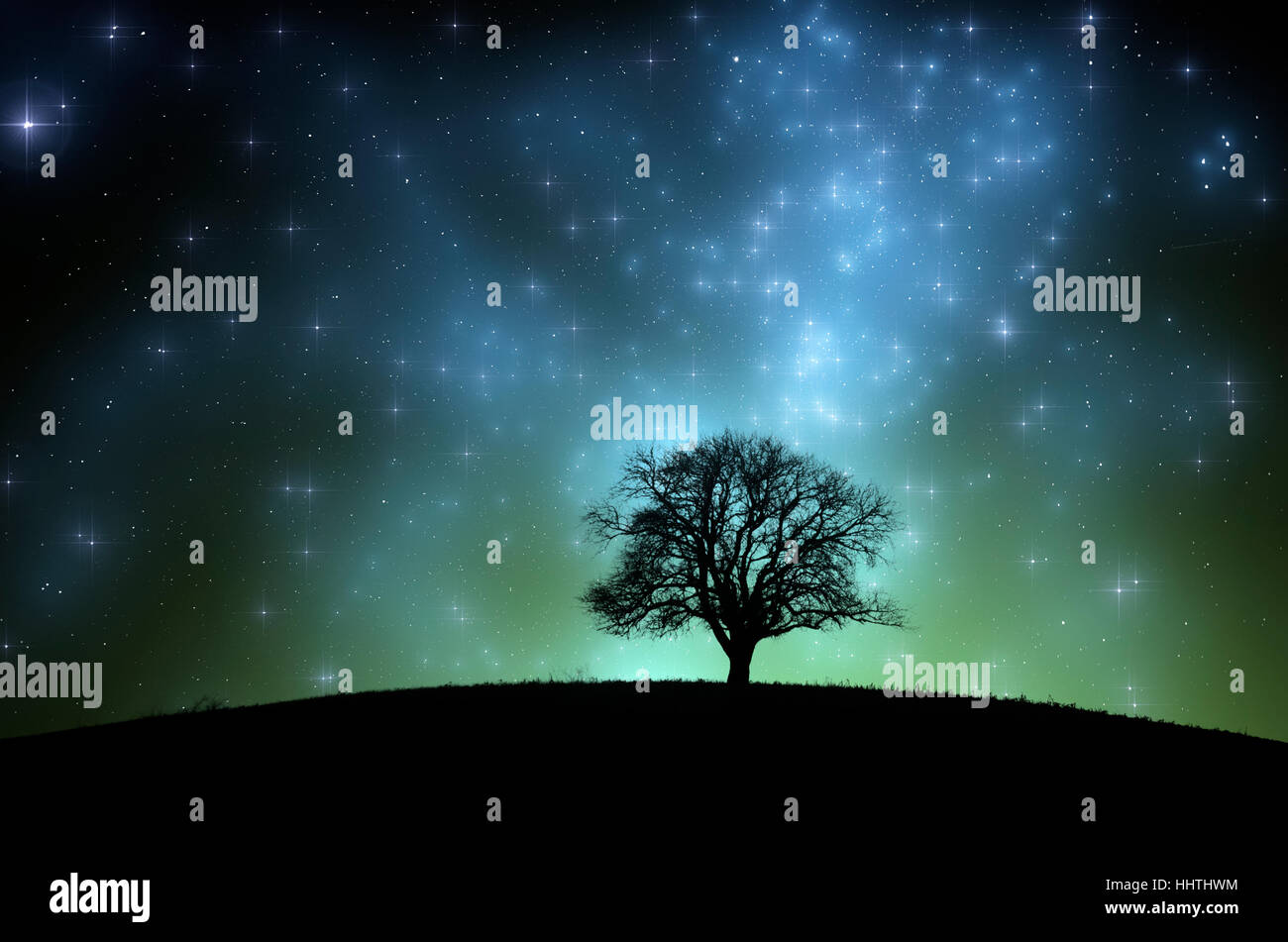 Baum auf Hügel in Nacht-Landschaft. Sternenhimmel und Milky Way, surreale Landschaft Stockfoto