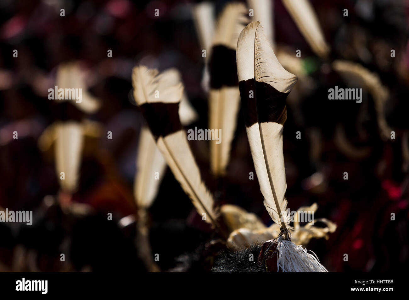 Kopfschmuck gefertigt aus Hornbill Federn, getragen während der Hornbill Festival in Kisama Dorf, Nagaland. Stockfoto