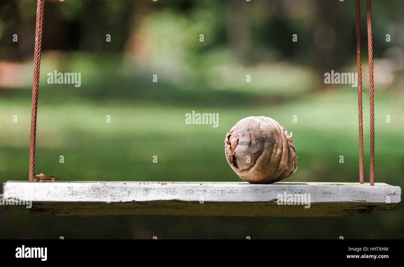 süß, Obst, tropischen, einzigartige, Sterne, himmlische Körper, Himmelskörper, behoben Stockfoto