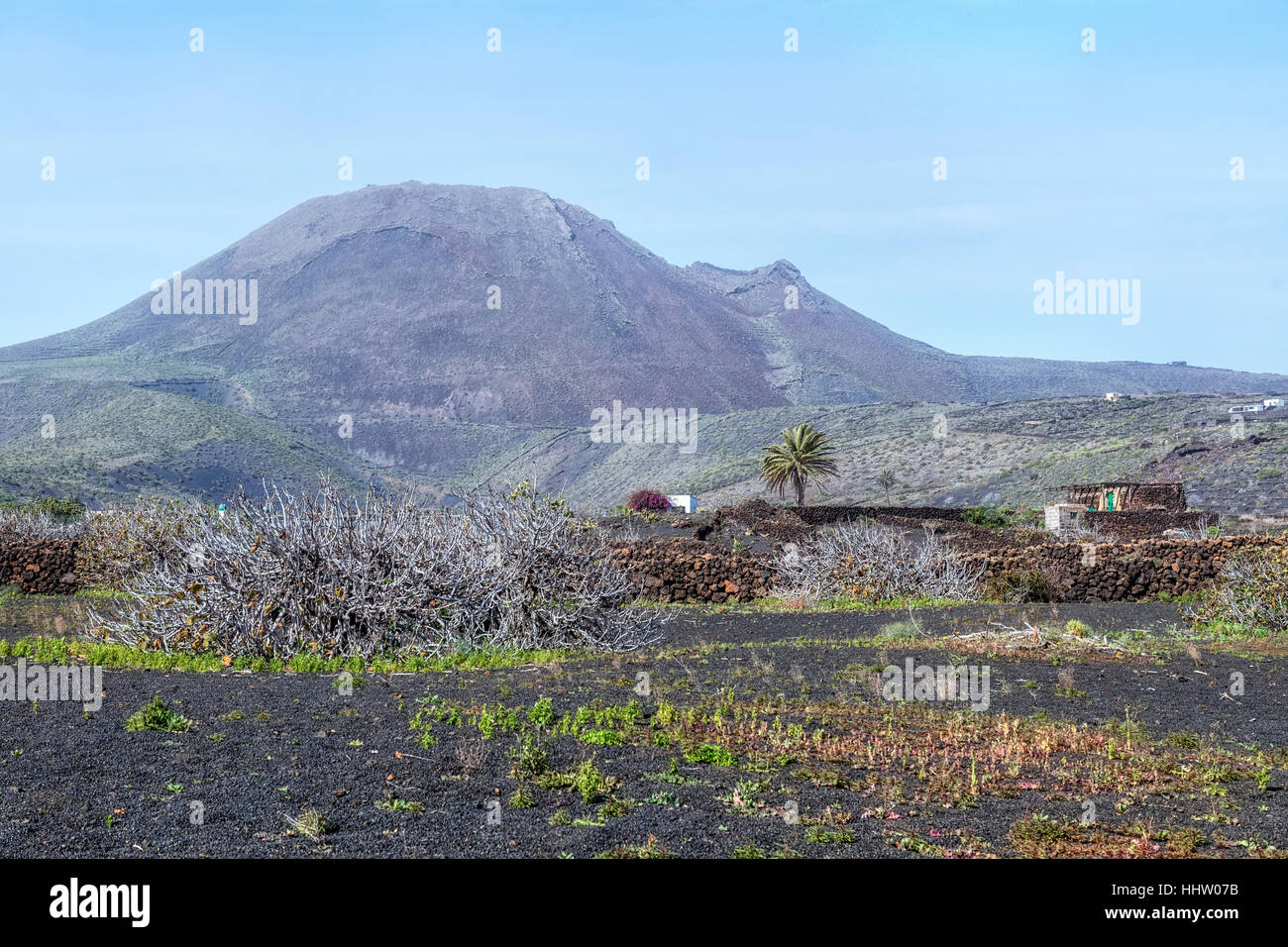 Monto Corona, Haria, Lanzarote, Kanarische Inseln, Spanien Stockfoto