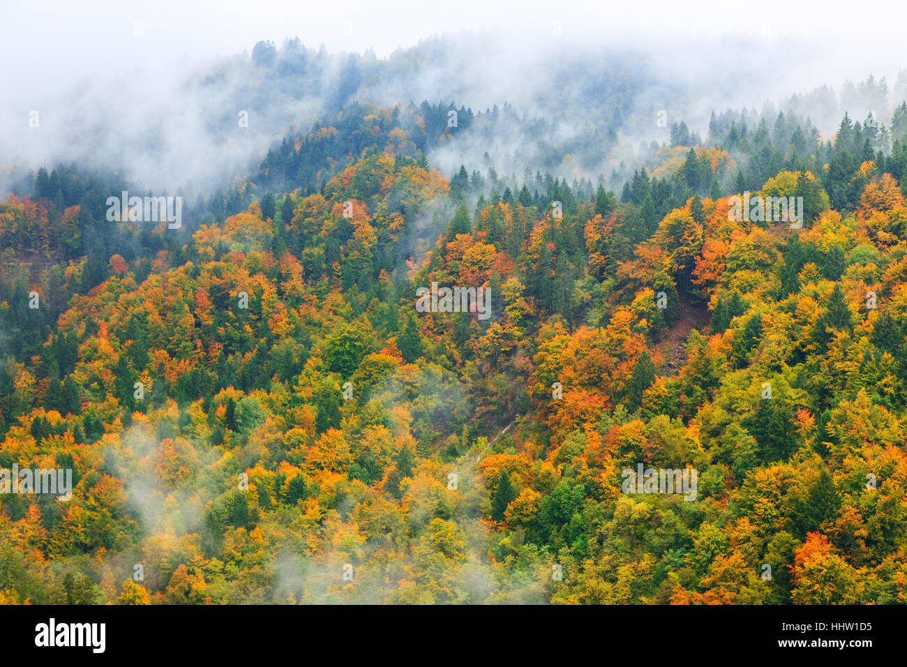 Fantastischer Landschaft der Bergwald in Wolken, Nebel oder Nebel Julischen Alpen. Slowenien Stockfoto
