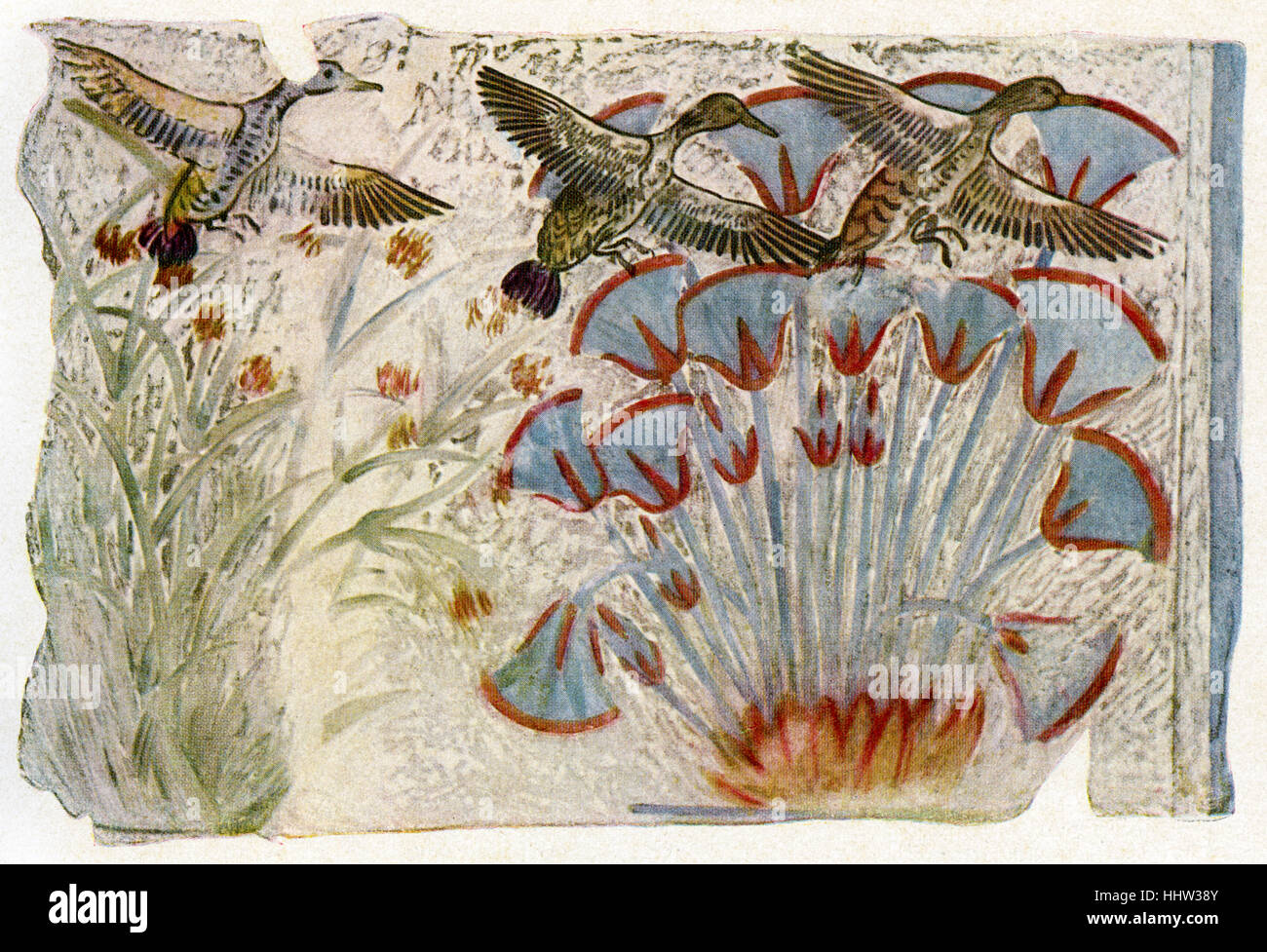 Blüten wie Lotus und Vögel fliegen overhead. Bodenmalerei aus dem Palast von Echnaton (Amenophis IV). Aus der Stockfoto