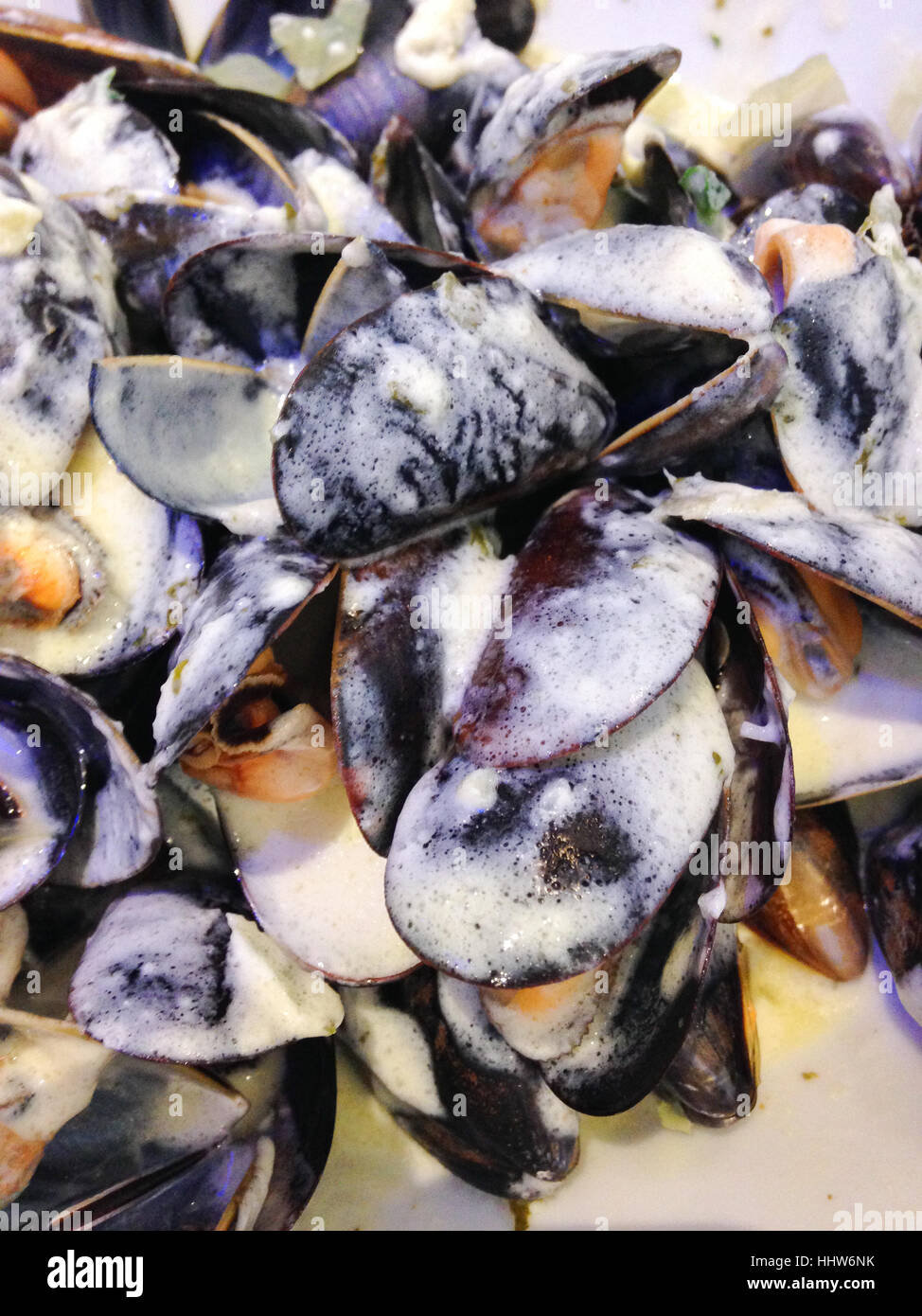 Normandie Spezial - Meeresfrüchte mit Sahne-sauce Stockfoto