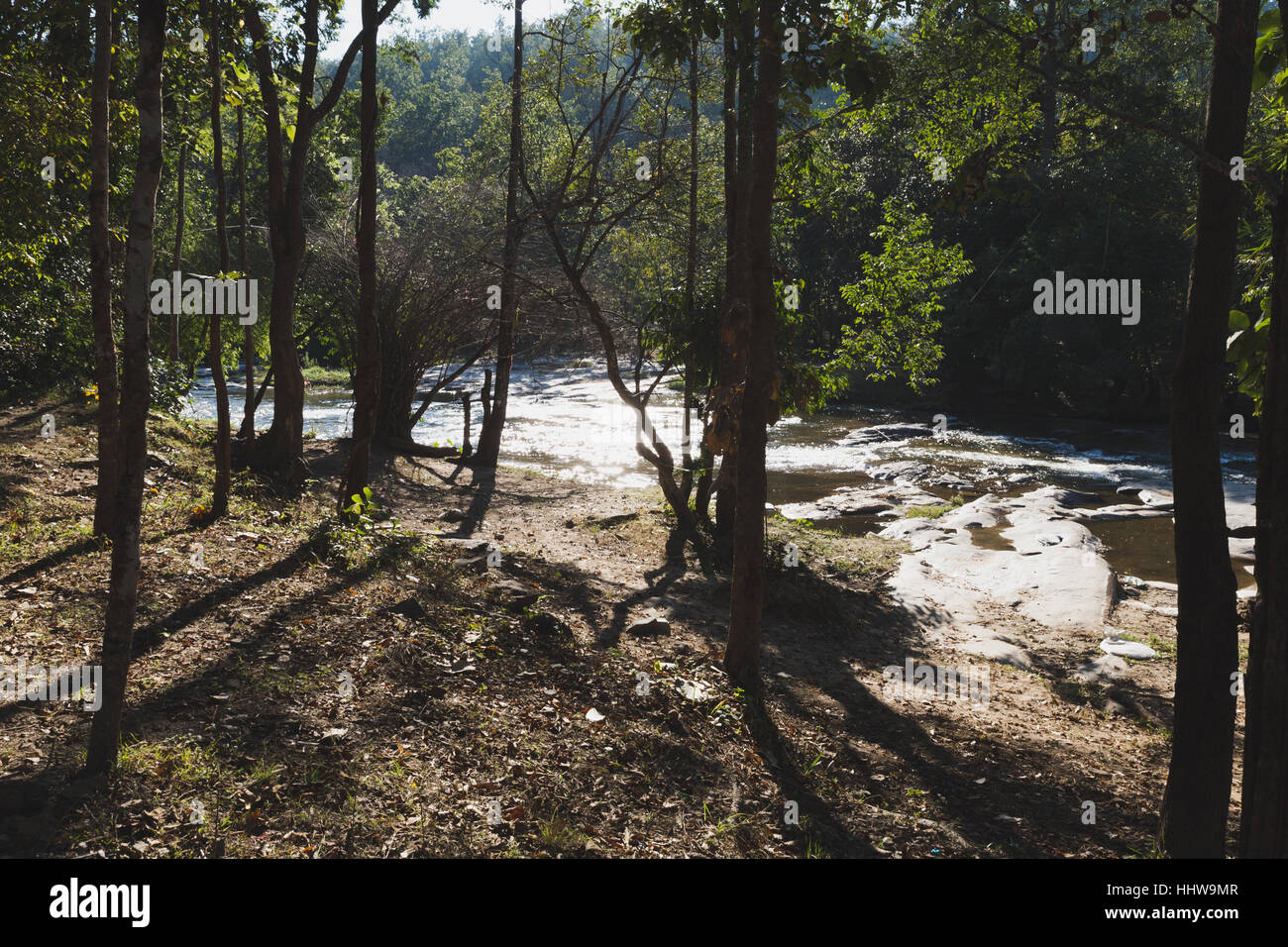 Sonnenlicht auf Stream Creek bei Wang Kwai Wasserfälle im Winter, Chiagmai, Nordthailand Stockfoto