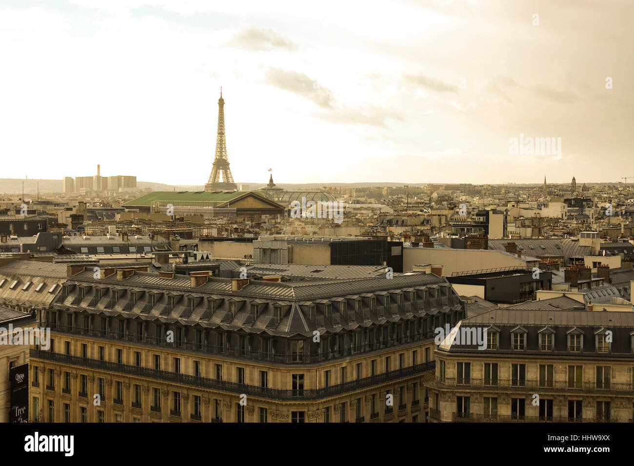 Ansicht von Paris mit Eiffelturm vom Dach in den Galeries Lafayette Paris Frankreich Europa Stockfoto