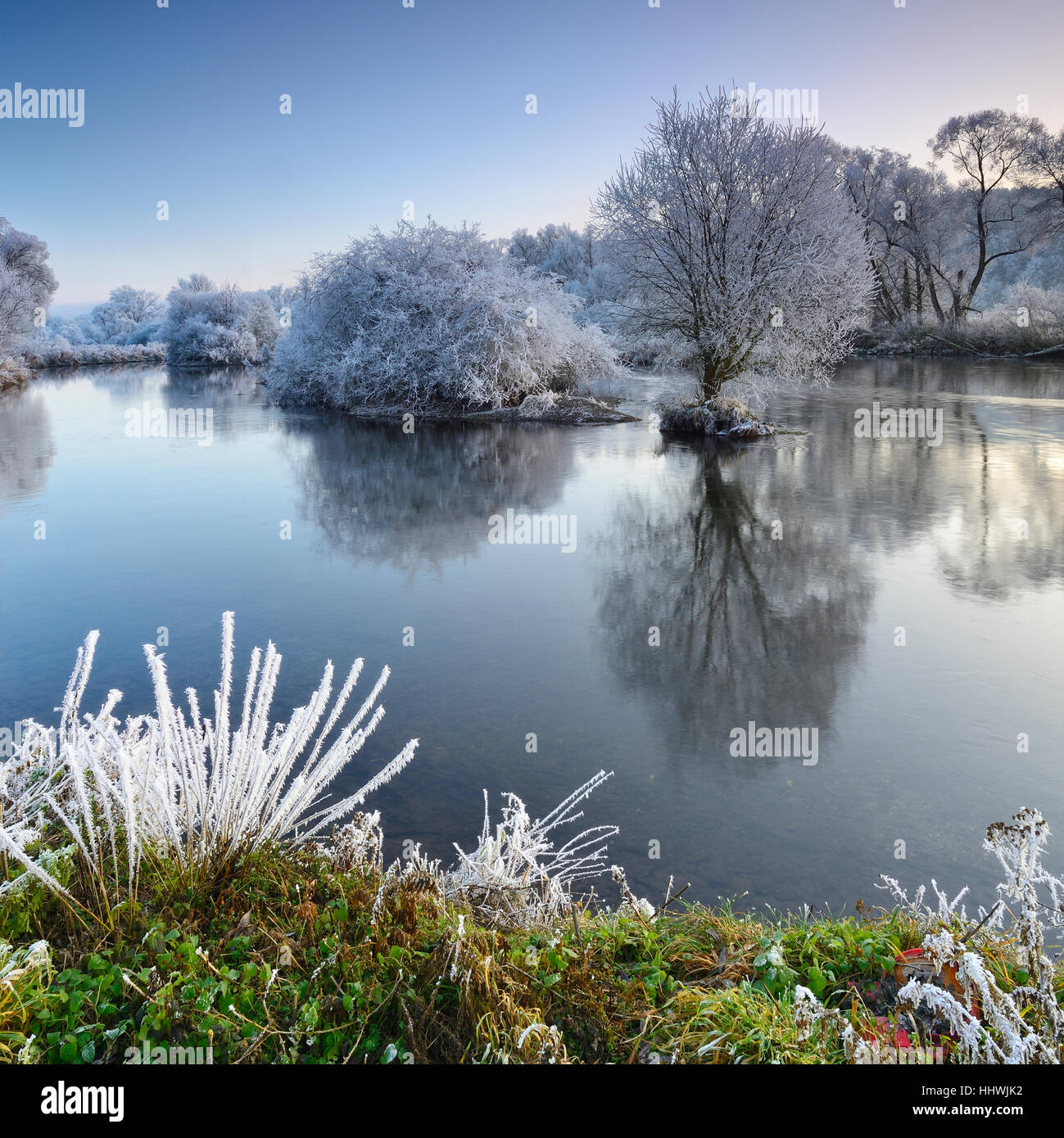 Bäume bedeckt mit Raureif, Fluss Eder im Winter, Bad Wildungen, Hessen, Deutschland Stockfoto