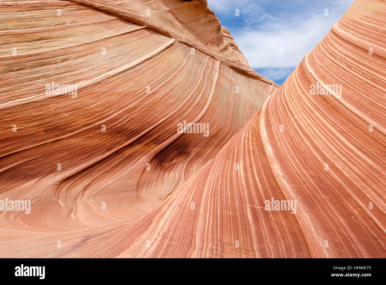 Die Welle, North Coyote Buttes, Vermilion Cliffs, Paria Canyon, Arizona, USA Stockfoto