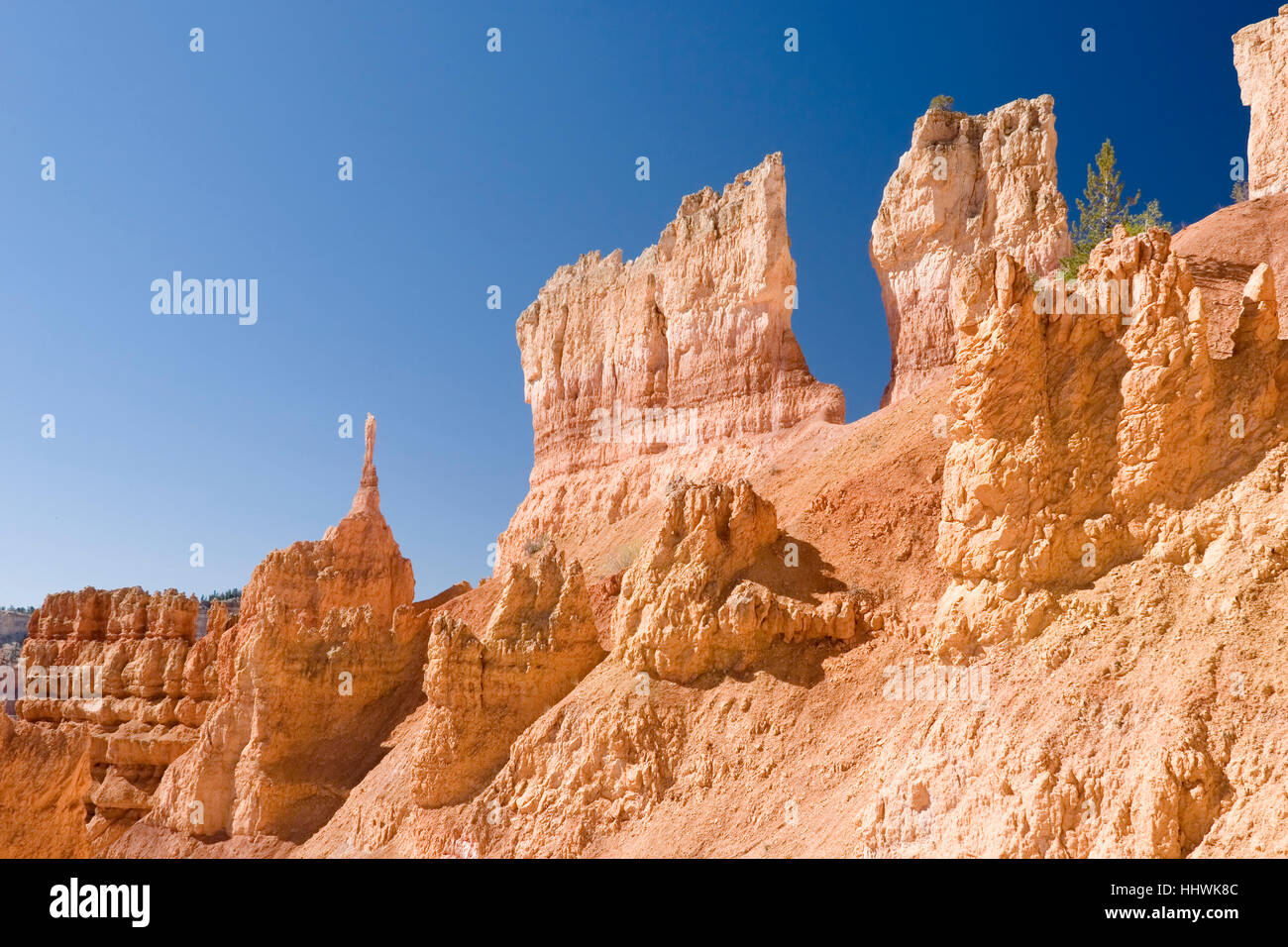 Fels-Formationen am Navajo Trail, Bryce-Canyon-Nationalpark, Utah, USA Stockfoto