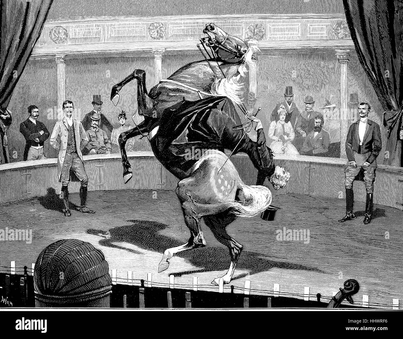Akrobatik auf dem Pferd, die Reiterin Baroness von Rhaden im Apollo Theater in Berlin, Deutschland, historisches Bild oder Illustration, veröffentlicht 1890, digital verbessert Stockfoto