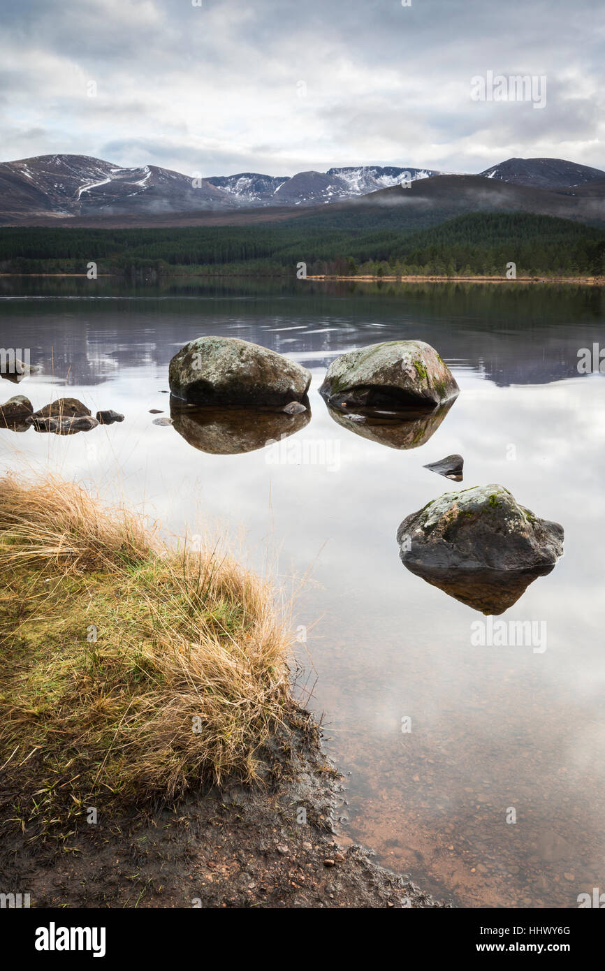 Loch Morlich im Cairngorms National Park von Schottland. Stockfoto