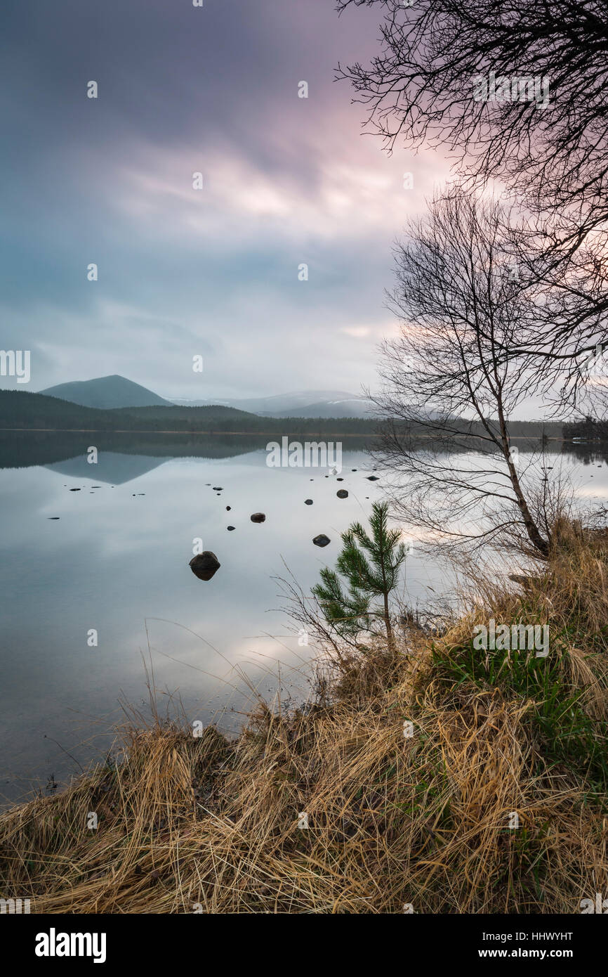 Abend am Loch Morlich im Cairngorms National Park von Schottland. Stockfoto