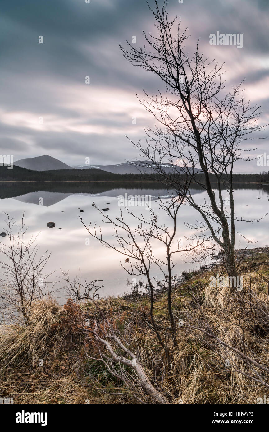 Loch Morlich im Cairngorms National Park von Schottland. Stockfoto