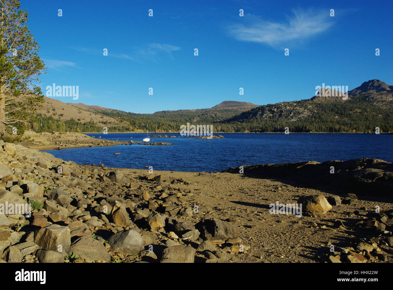 Baum, Nadelbaum, Salzwasser, Meer, Ozean, Wasser, Berg, Wald, blau, Baum, Stockfoto