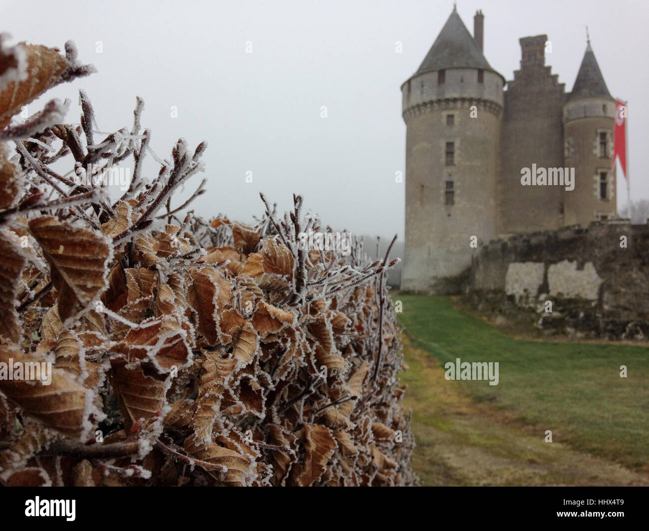 Blick auf das Chateau de Montpoupon im Winter mit Frost auf Büschen auf Vordergrund, Loiretal, Frankreich Stockfoto