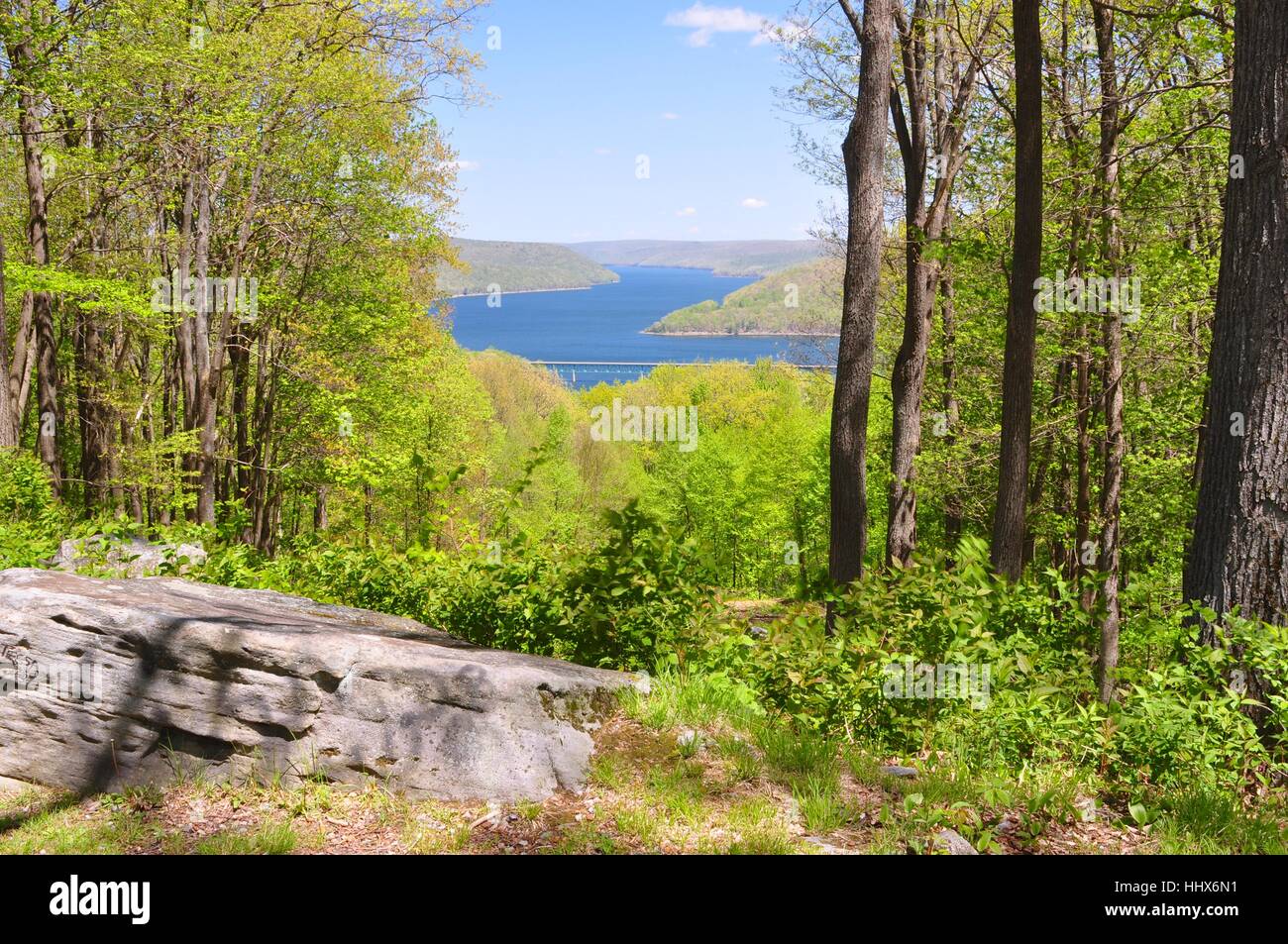 Allegheny National Forest, Pennsylvania Stockfoto