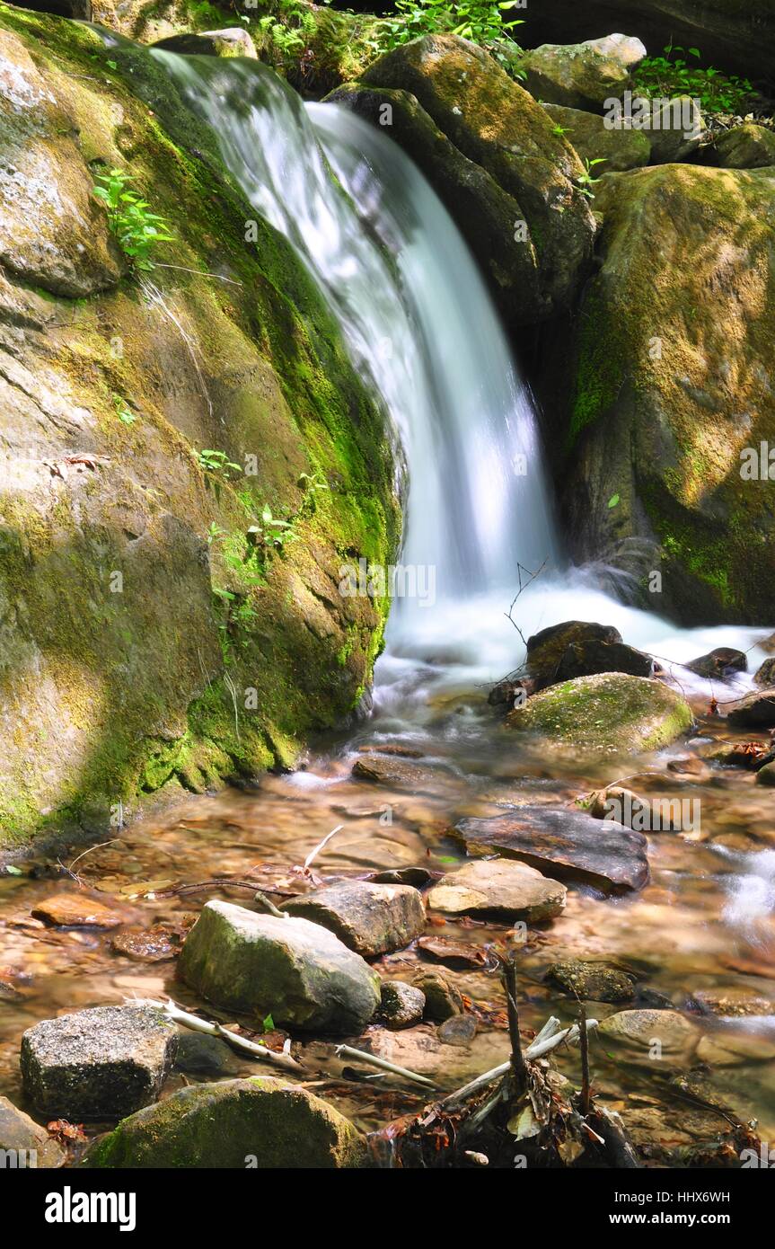 Allegheny National Forest, Pennsylvania Stockfoto