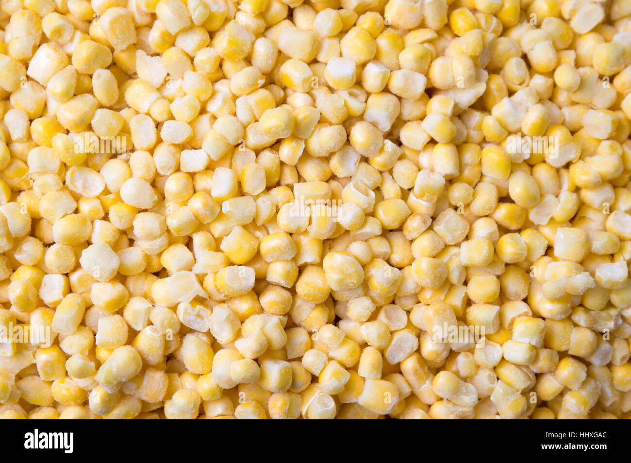Gefrorenen Mais bilden ein Hintergrundmuster Stockfoto