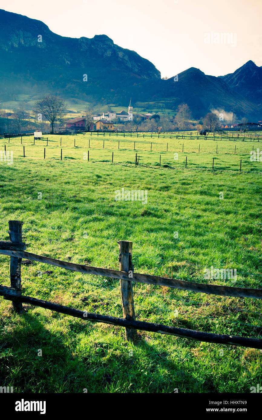 Meadows.Sotu de Fieber Dorf.  Rinderzucht. Redes Naturpark. Asturien, Spanien Stockfoto