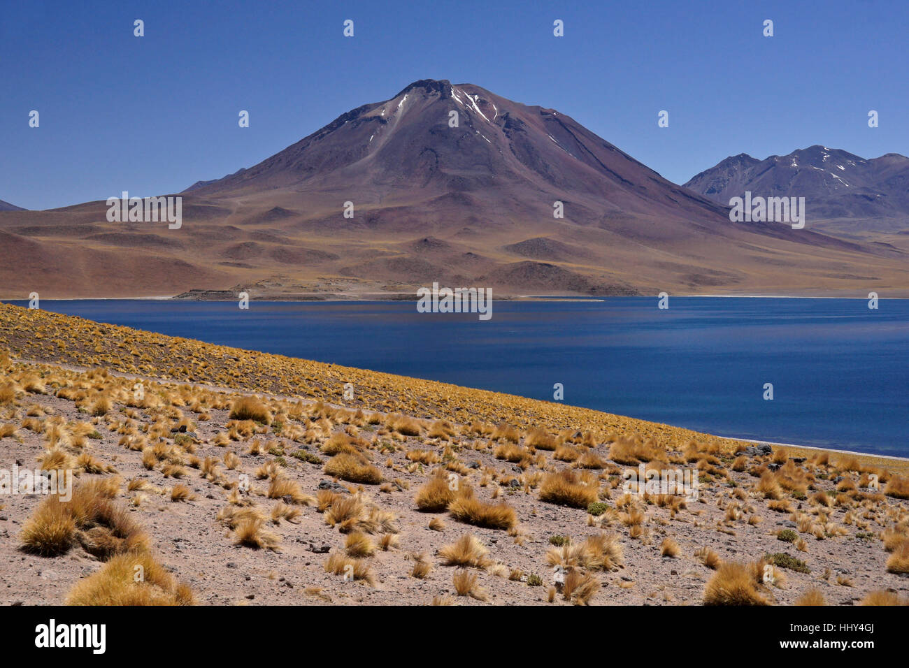 Laguna Miscanti und Cerro Miscanti, Chile, Atacama-Wüste, Reserva Nacional Los Flamencos, Norte Grande Stockfoto