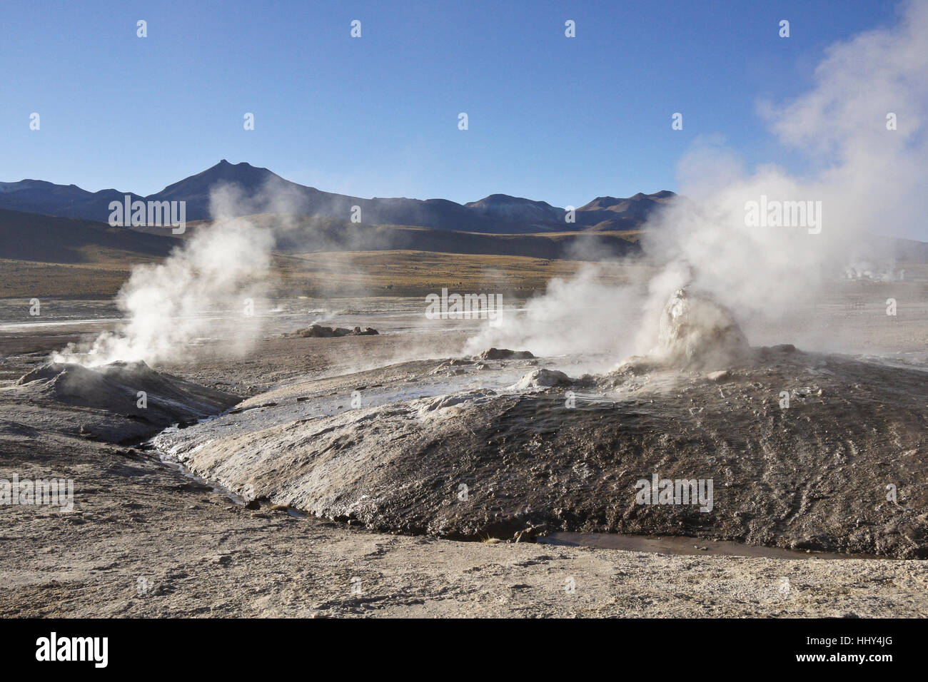 Sprudelnde, dampfende Geysire in del Tatio Geysire, Atacama-Wüste, Chile Norte Grande Stockfoto