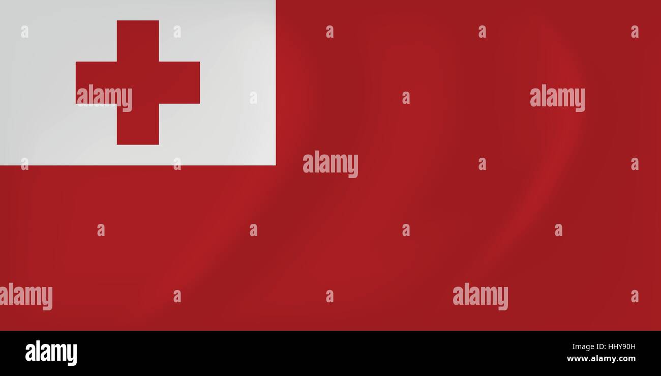 Vektor-Bild des wehende Flagge Tonga Stock Vektor