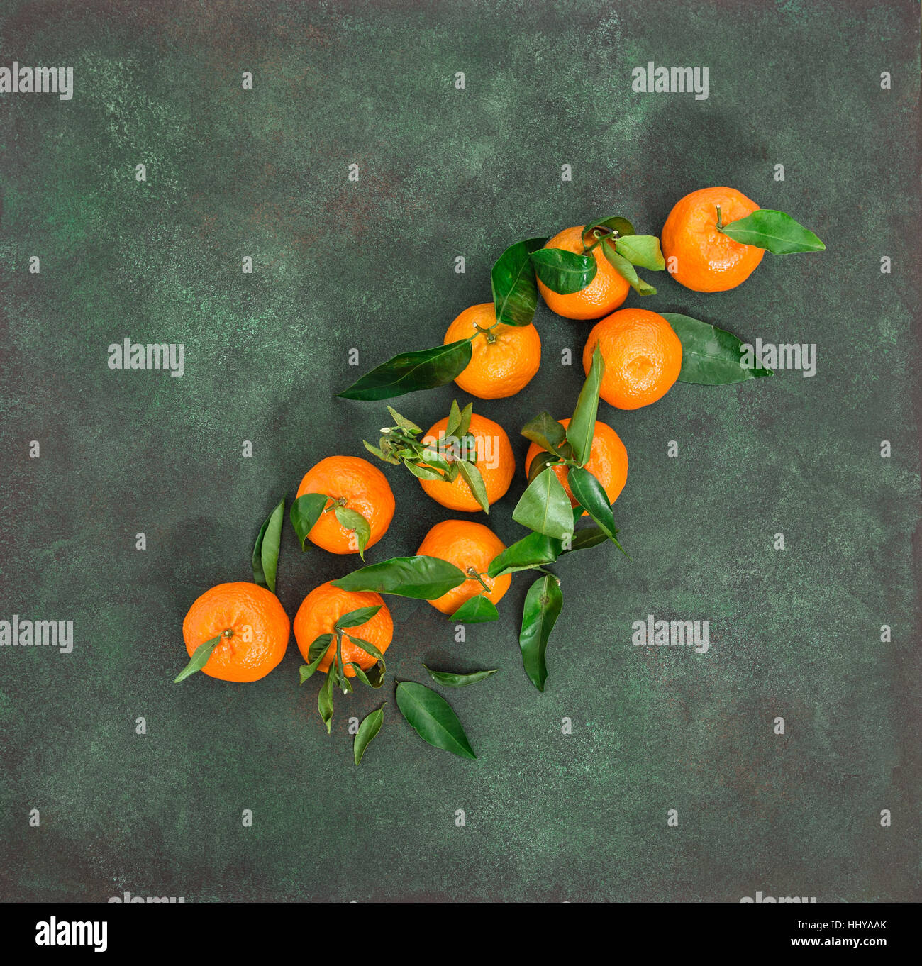 Mandarinen-Früchte. Orange Mandarine mit frischen Blättern auf dunkelgrünen Hintergrund Stockfoto