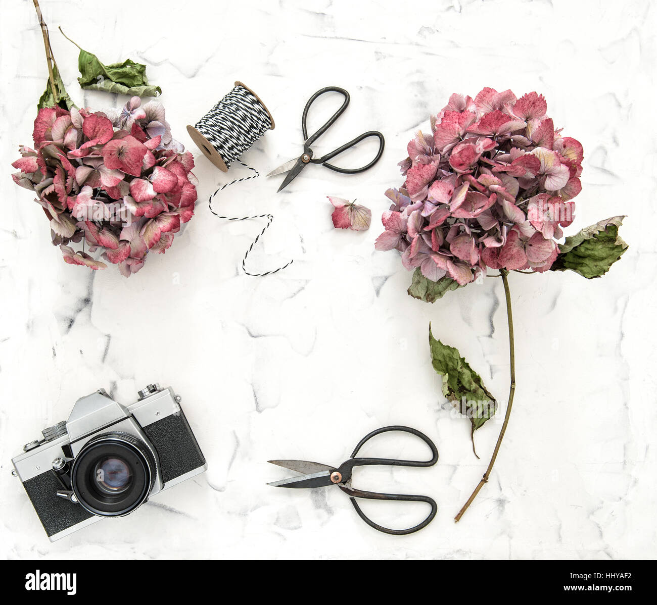 Wohnung mit Hortensia Blumen, Schere Vintage und Retro-Foto-Kamera auf weißem Marmor Hintergrund legen Stockfoto