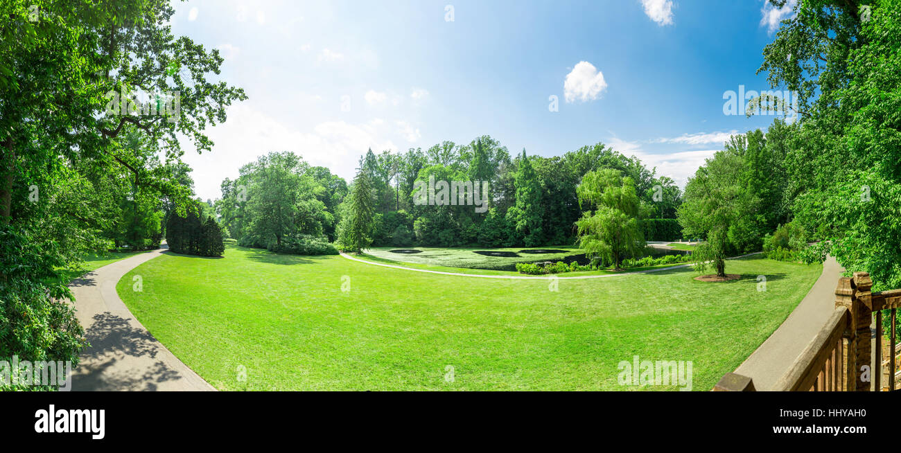 Grüne Bäume auf Rasen Wiese. Stockfoto