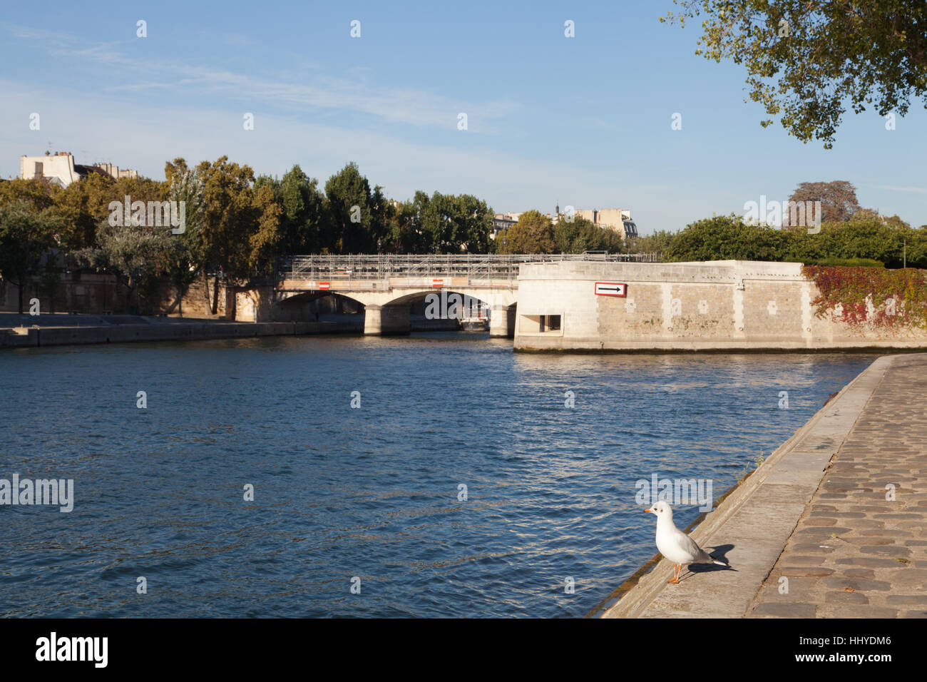 An den Ufern der Seine gelegen und Pont de l'Archevêché, Paris, Frankreich. Stockfoto