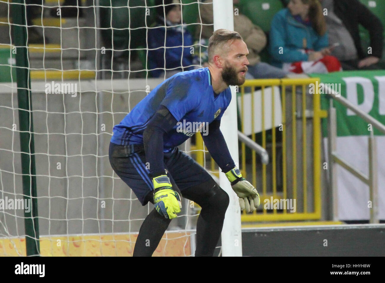 Belfast, Nordirland. 15. November 2016. Internationaler Fußball Freundschaftsspiel - Nordirland 0 Kroatien 3. Northern Ireland Alan Mannus (1). Stockfoto