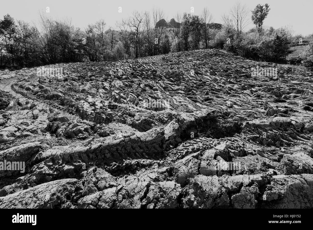 Gepflügtes Land am Rande des Waldes, geringe Schärfentiefe Hinweis Stockfoto
