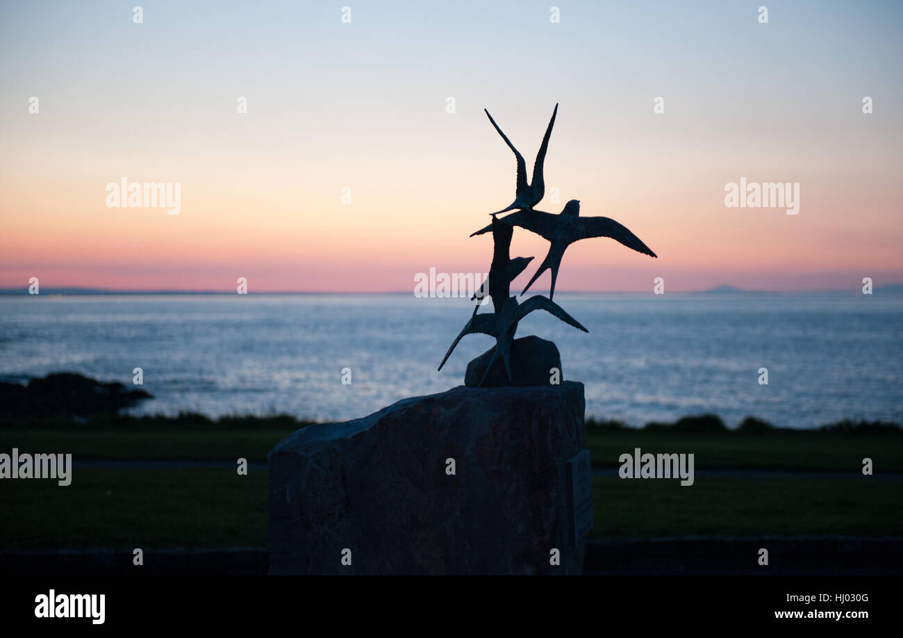 Eine Bronzeskulptur von Seeschwalben Brid NI Rinn in Skerries Hafen an einem Abendzeit in Irland Stockfoto