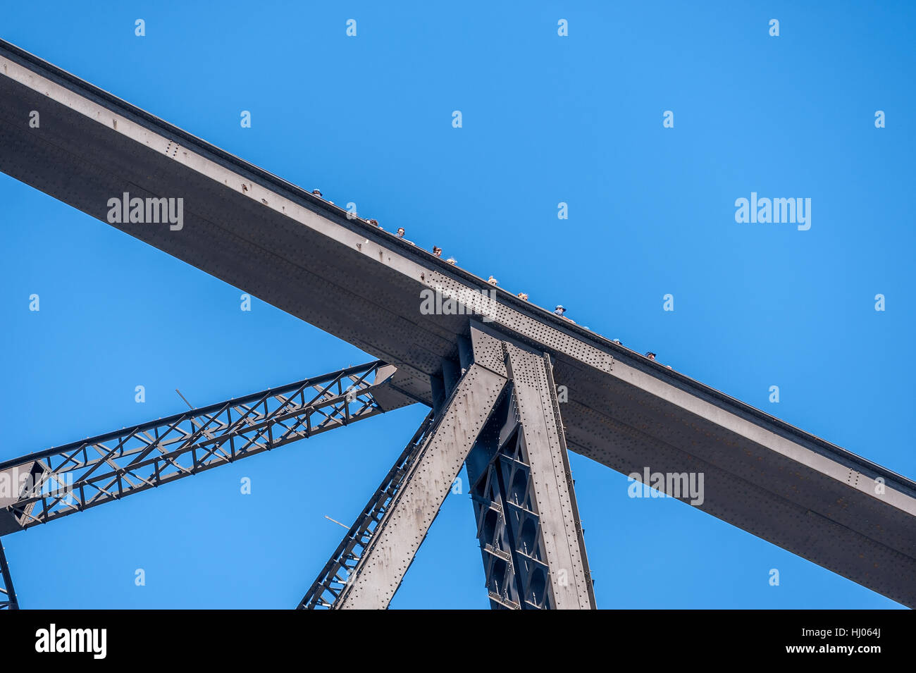 Die Sydney Harbour Bridge, der Froschperspektive Stockfoto